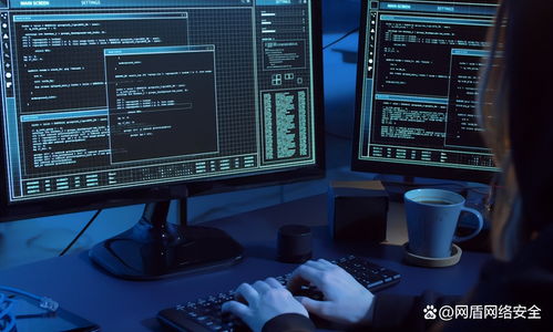 入門網絡安全工程師必備技能 從計算機網絡工程到實戰防護